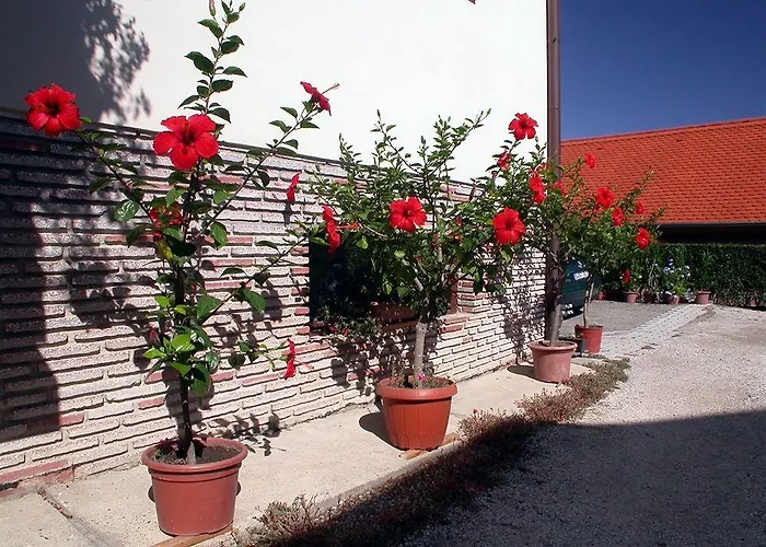 Daire Therme Apartmenthaus *